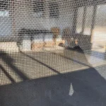 Florida room after 5